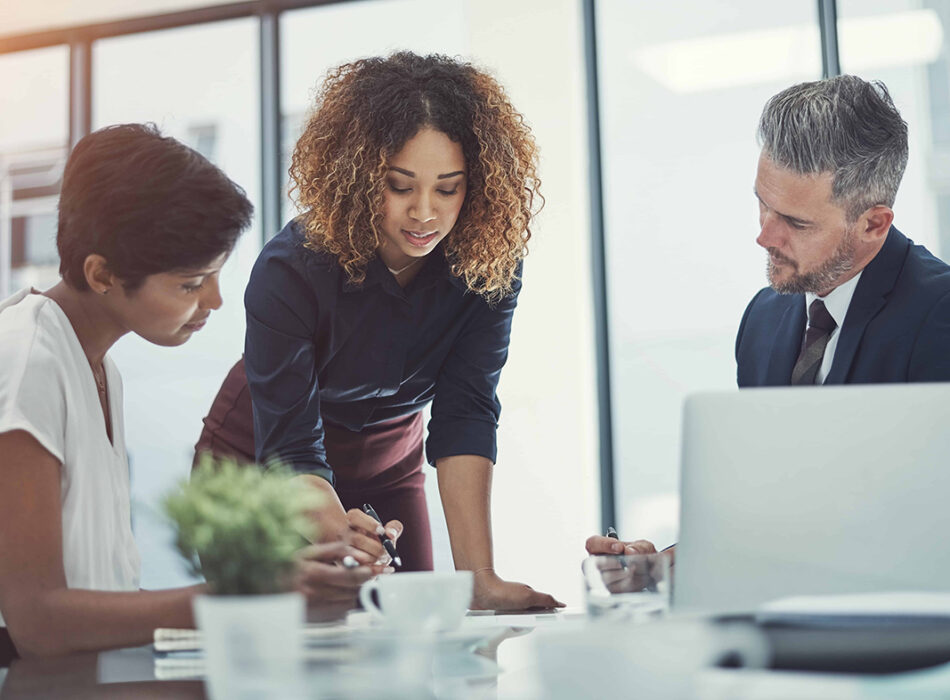 Business consultant meeting with clients