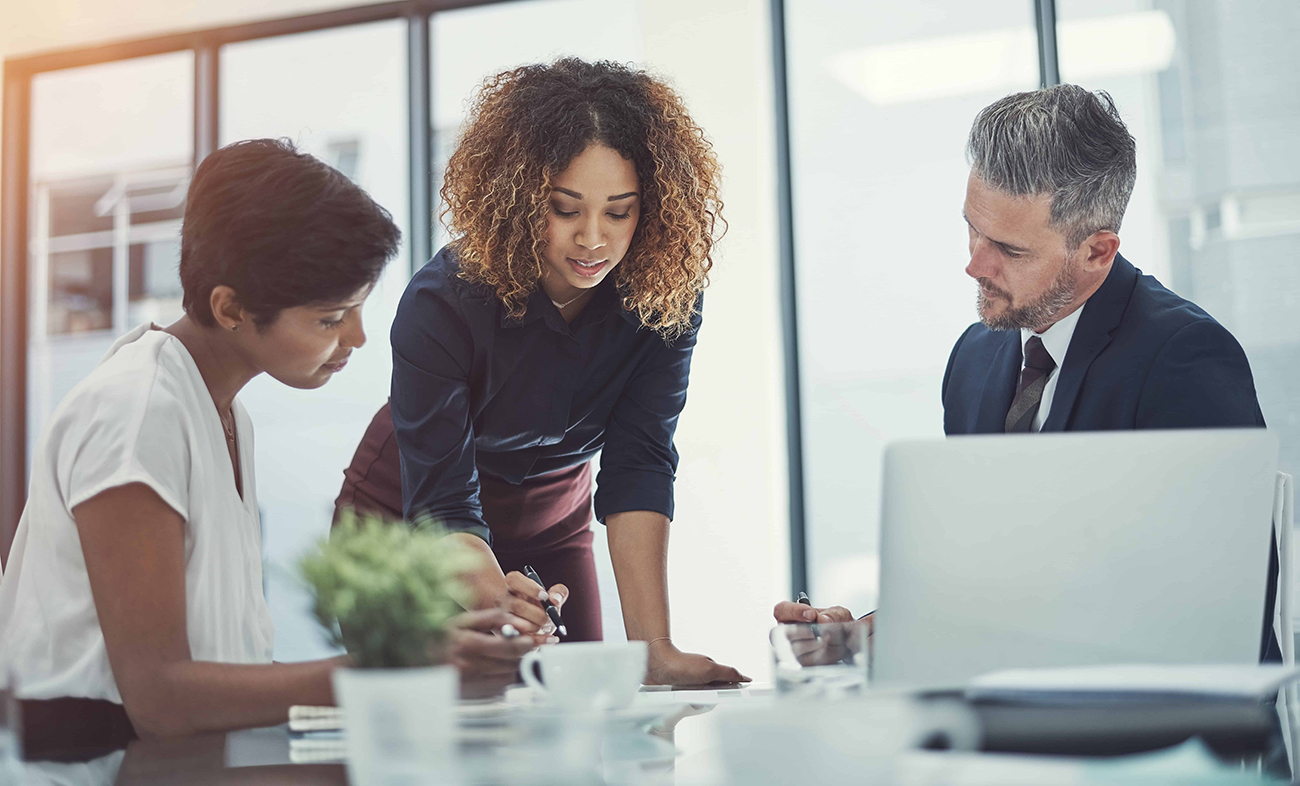 Business consultant meeting with clients